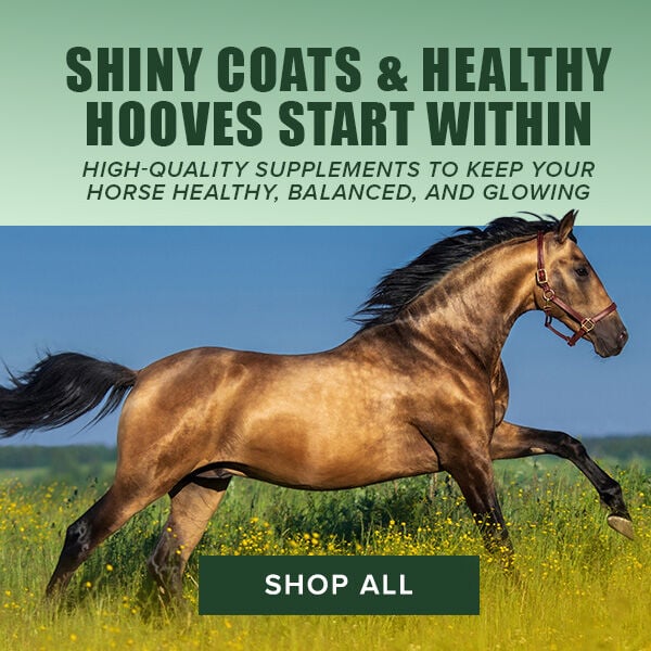 Shiny Coats & Healthy Hooves Start Within: High-Quality Supplements to Keep Your Horse Healthy, Balanced, and Glowing. Shop All.