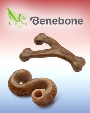 Benebone