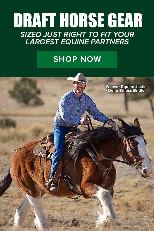 Draft Horse Gear: Sized Just Right to Fit Your Largest Equine Partners. Shop Now.