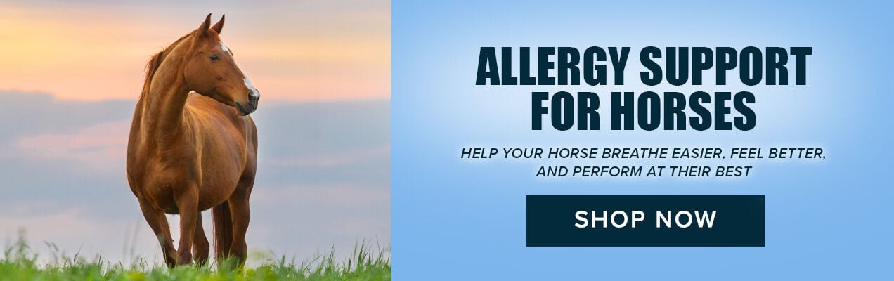 Allergy Support for Horses: Help Your Horse Breathe Easier, Feel Better, and Perform at Their Best