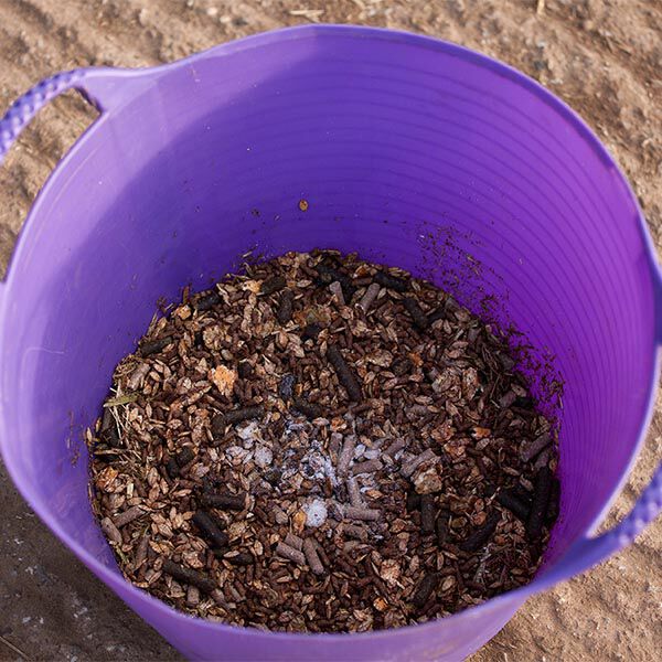 Administering Oral Medications for Horses Administering Oral Medications for Horses