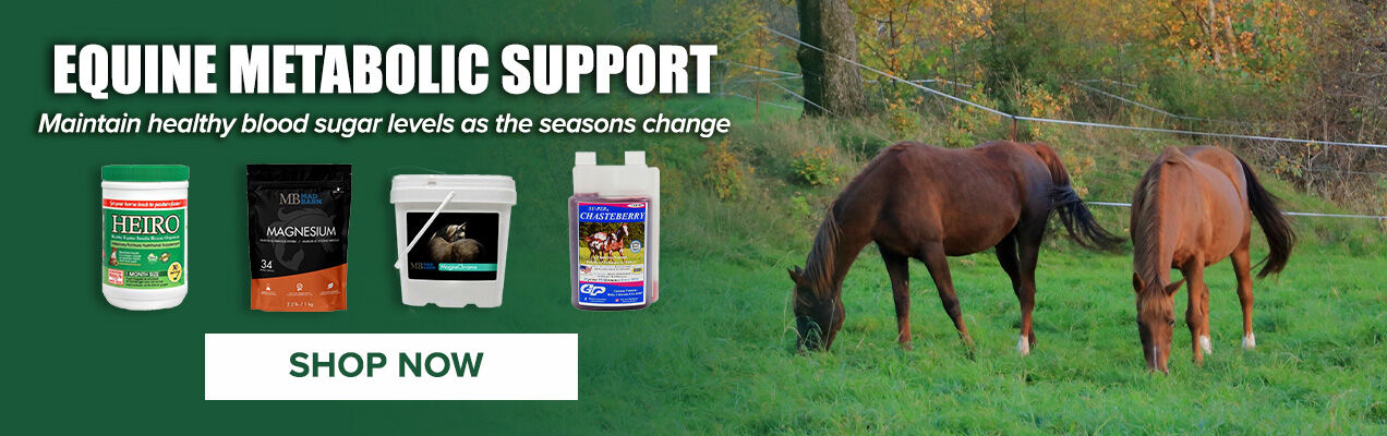 Equine Metabolic Support