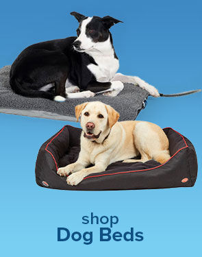 Shop Dog Beds