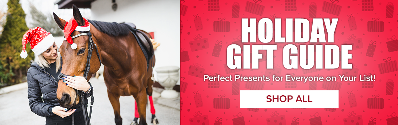 2024 Holiday Gift Guide