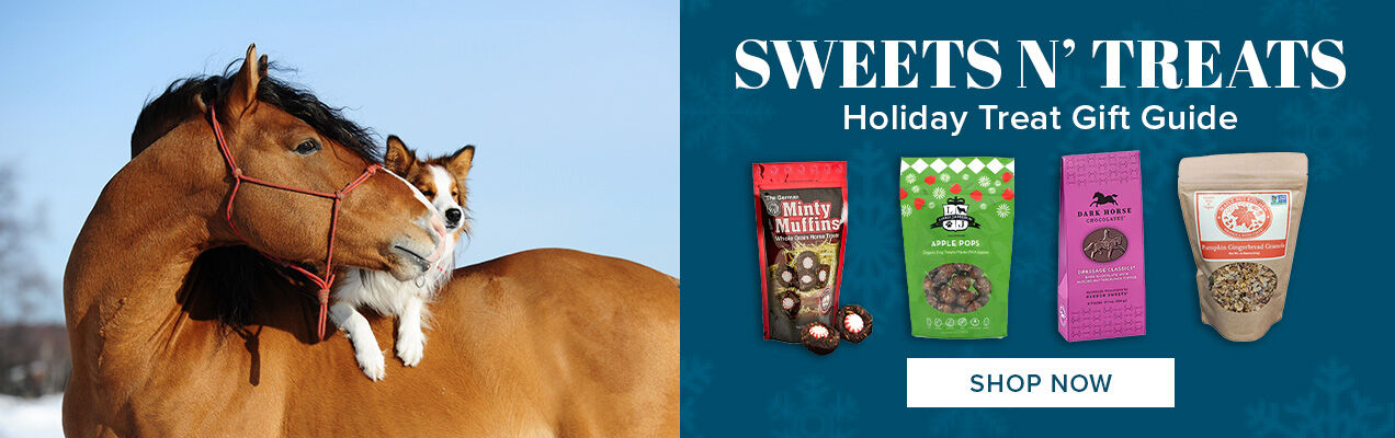 Holiday Treat Gift Guide