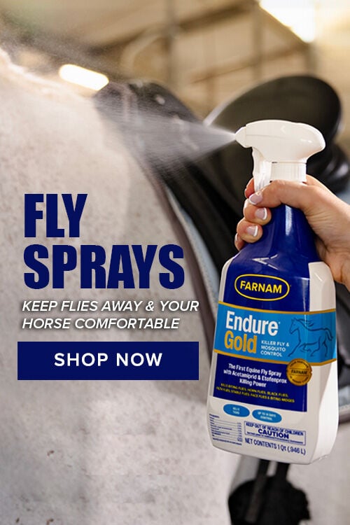 Fly Sprays: Keep Flies Away & Your Horse Comfortable