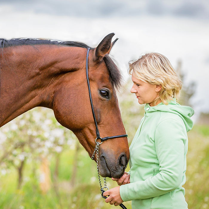 Purchasing Your First Horse