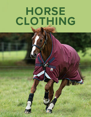Horse Clothing