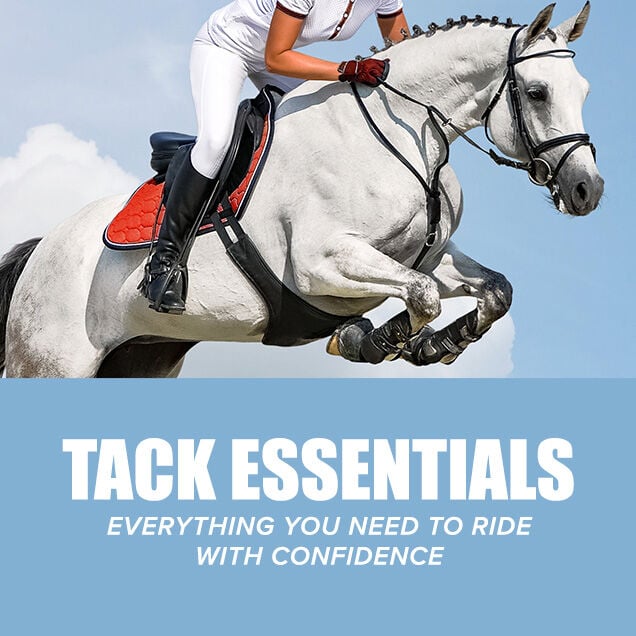 Tack Essentials: Everything You Need to Ride with Confidence