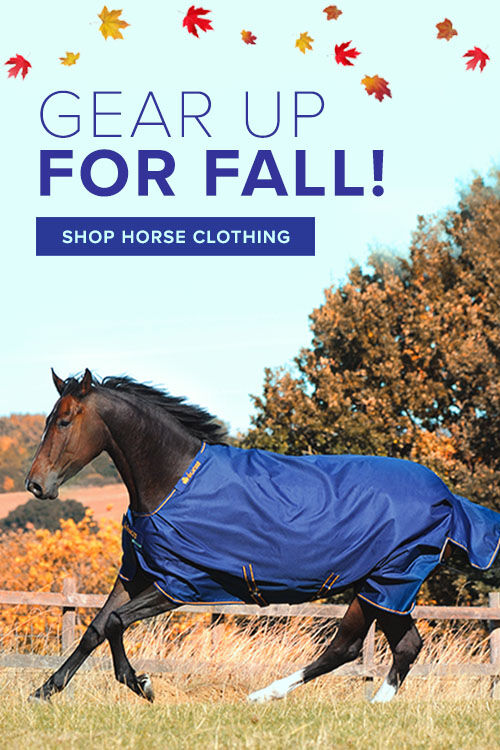Horse Clothing