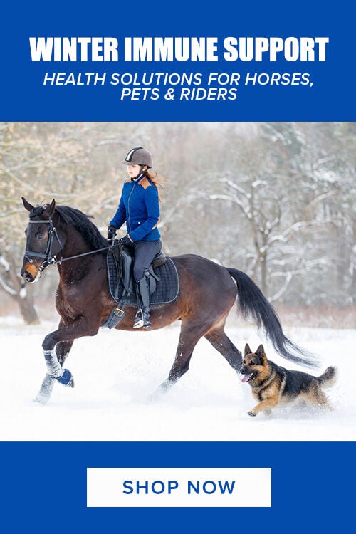 Winter Immune Support: Health Solutions for Horses, Pets & Riders