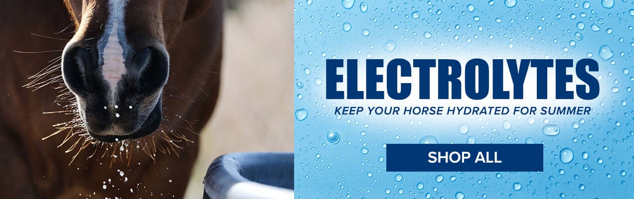 Electrolytes: Keep Your Horse Hydrated for Summer