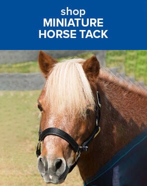 Mini Horse Tack