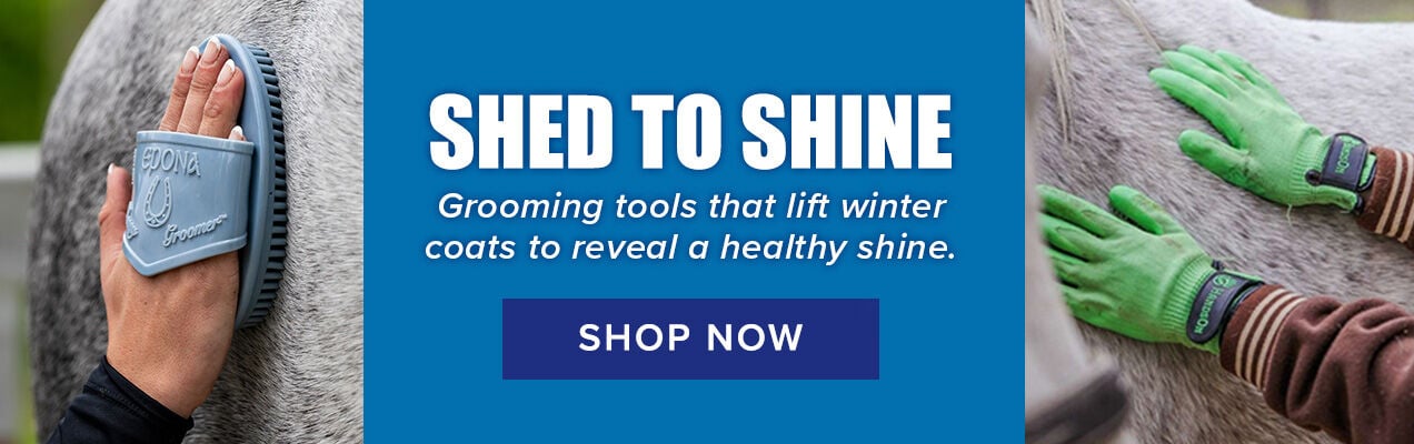 Shed to Shine: Grooming tools that lift winter coats to reveal a healthy shine.