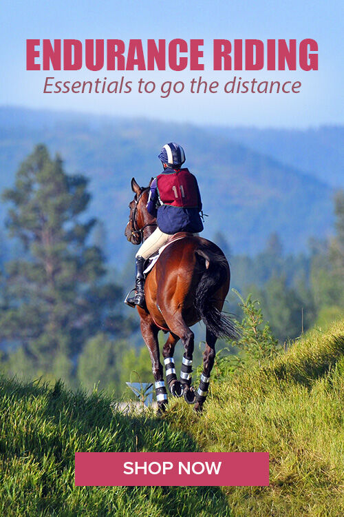 Endurance Riding Essentials