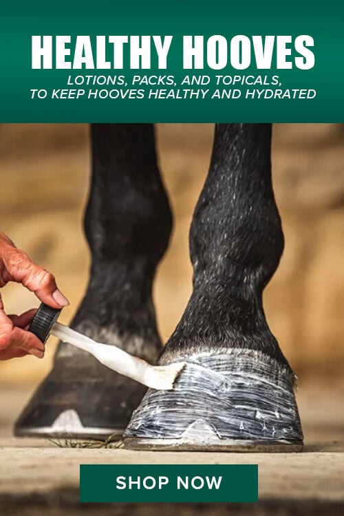 Healthy Hooves: Lotions, Packs, and Topicals to Keep Hooves Healthy and Hydrated