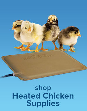 Shop Heated Chicken Supplies
