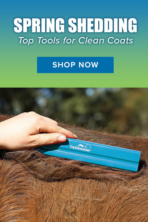 Spring Shedding: Top Tools for Clean Coats. Shop Now.