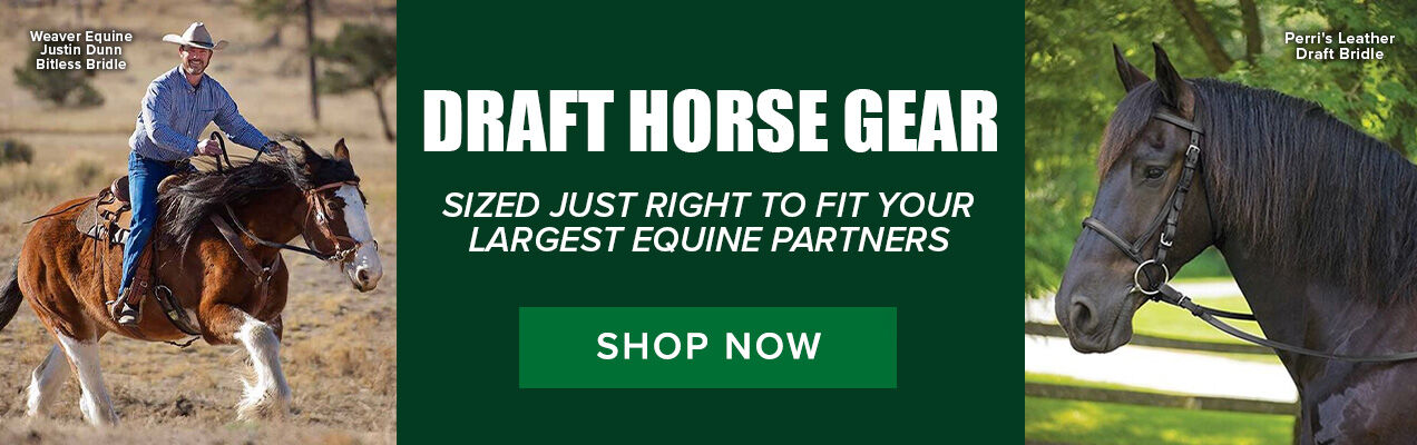Draft Horse Gear: Sized Just Right to Fit Your Largest Equine Partners. Shop Now.