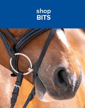 Bits