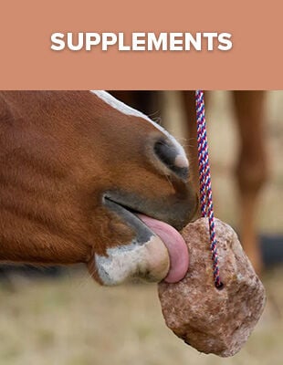 Supplements