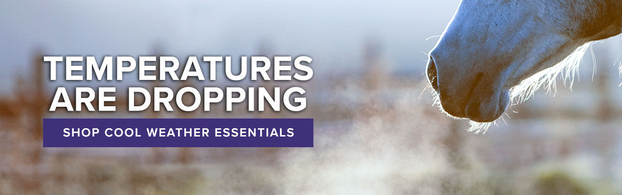 Cool Weather Essentials