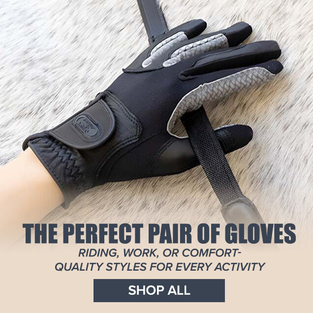 The Perfect Pair of Gloves: Riding, Work, or Comfort--Quality Styles for Every Activity