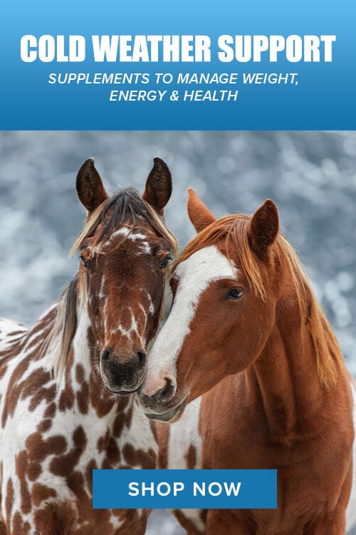 Cold Weather Support: Supplements to Manage Weight, Energy & Health