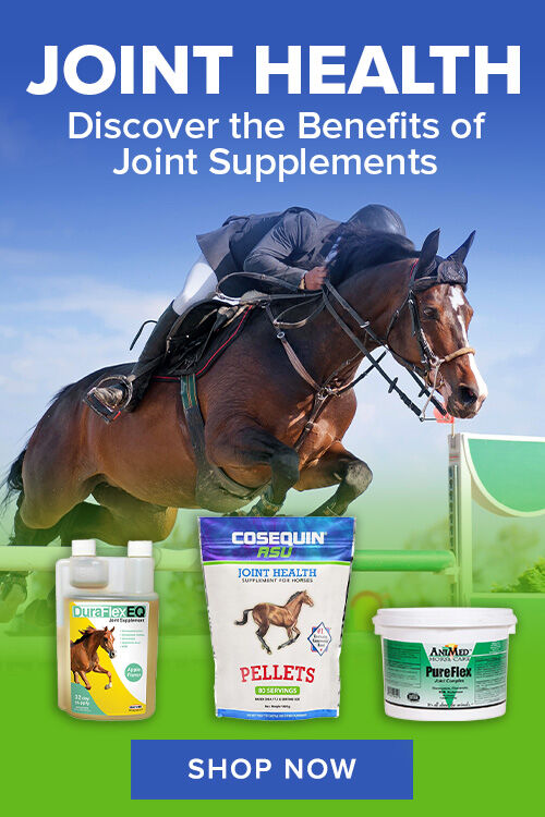 Shop Joint Health Products