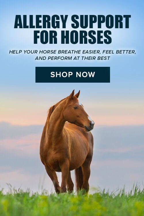 Allergy Support for Horses: Help Your Horse Breathe Easier, Feel Better, and Perform at Their Best