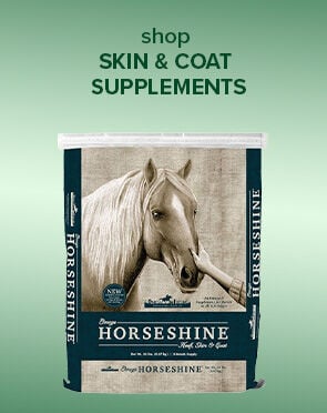 Skin & Coat Supplements