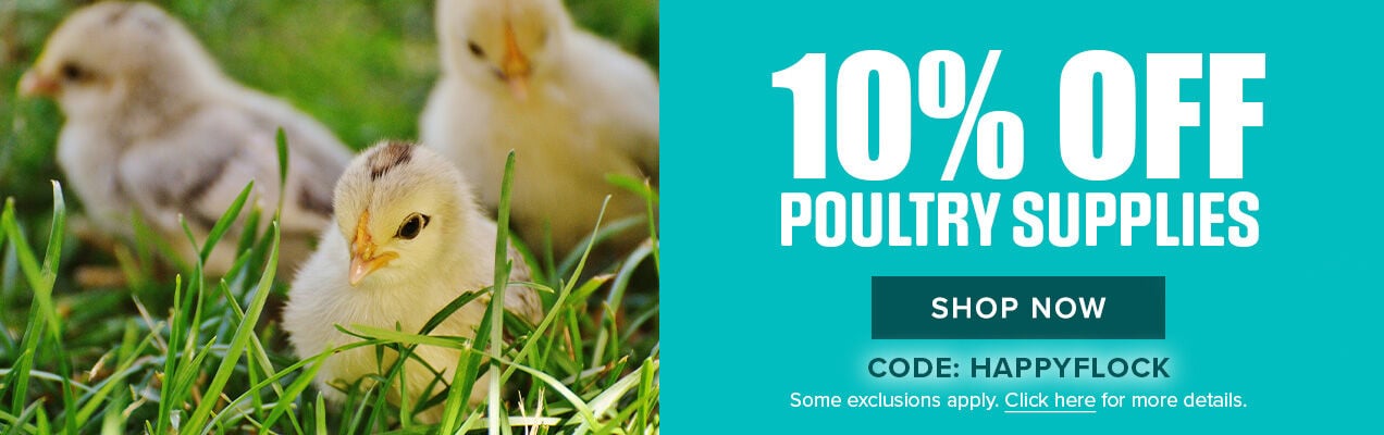 10% Off Poultry Supplies. Shop Now. Code: HAPPYFLOCK