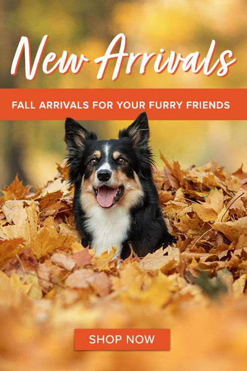 New Pet Arrivals