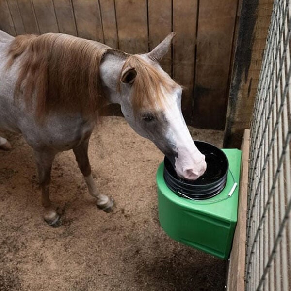 Effective Ways to Prevent Water Buckets from Freezing in Winter