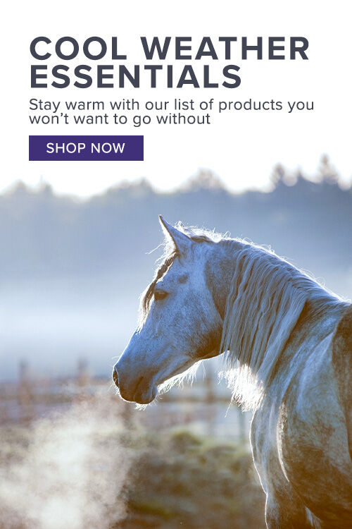 Cool Weather Essentials