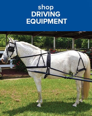 Driving Tack & Equipment