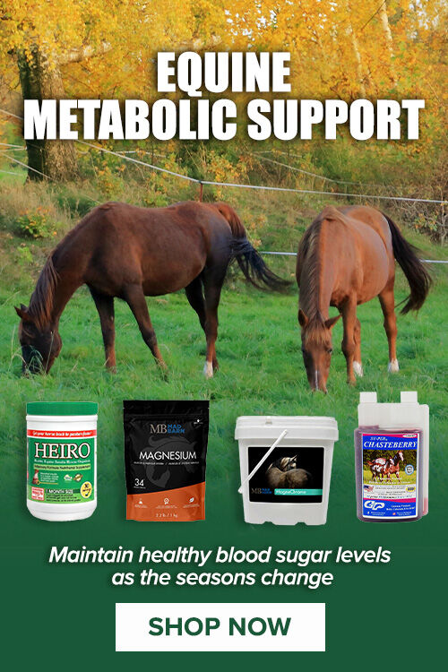 Equine Metabolic Support