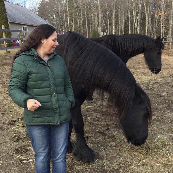 Amy with her Friesians Amy with her Friesians