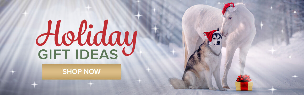 Holiday Gift Ideas
