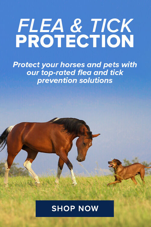 Shop Flea, Tick & Fly Protection for Horses, Dogs & Cats