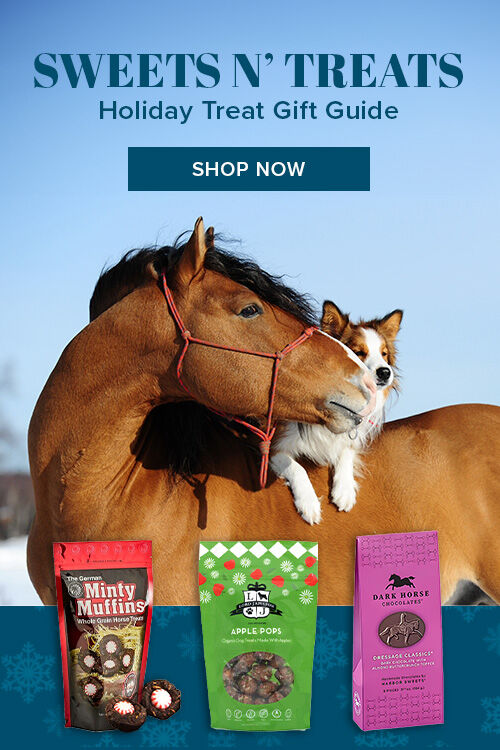 Holiday Treat Gift Guide