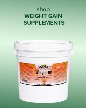 Weight Gain Supplements