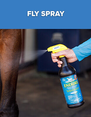 Fly Spray