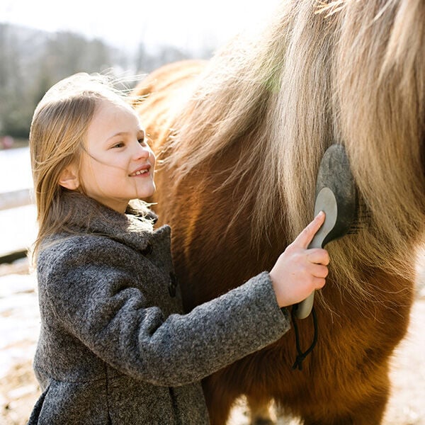 Cold Weather Grooming Tips: Keeping Your Horse Comfortable All Winter