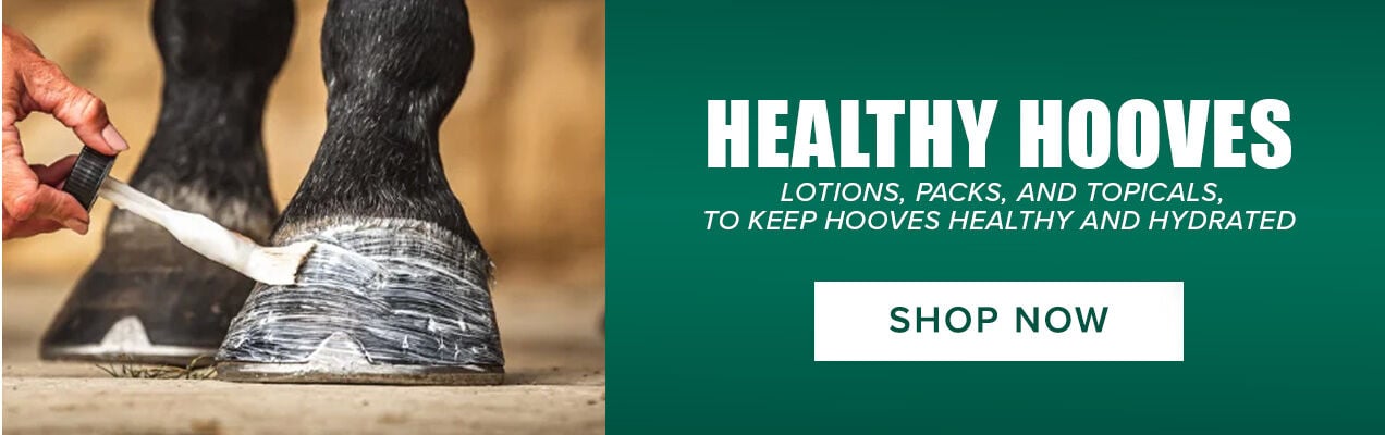 Healthy Hooves: Lotions, Packs, and Topicals to Keep Hooves Healthy and Hydrated