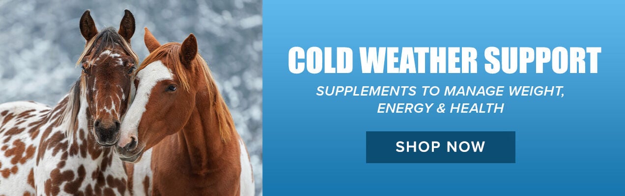Cold Weather Support: Supplements to Manage Weight, Energy & Health