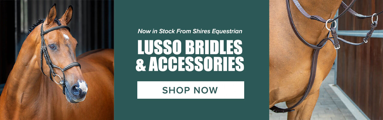 Lusso Bridles