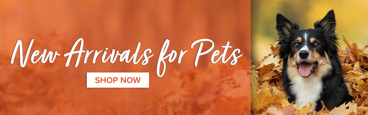 New Pet Arrivals