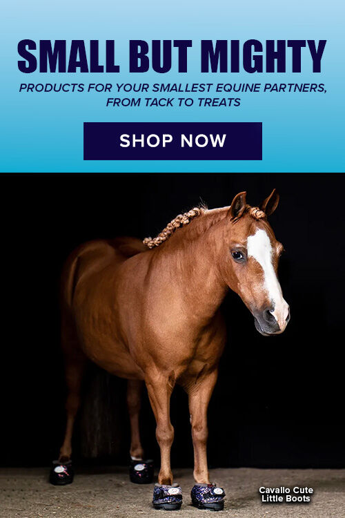 Small but Mighty: Products for Your Smallest Equine Partner, From Tack to Treats