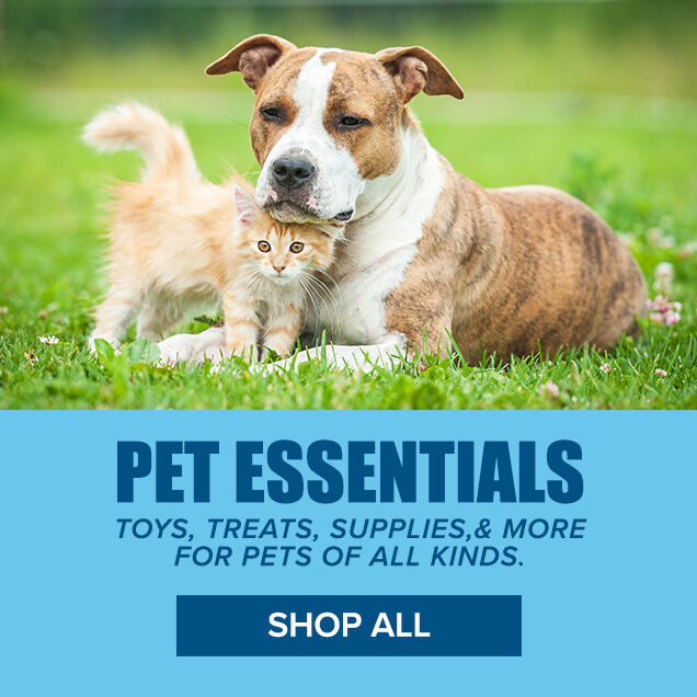 Pet Essentials: Toys, Treats, Supplies & More for Pets of All Kinds. Shop All.